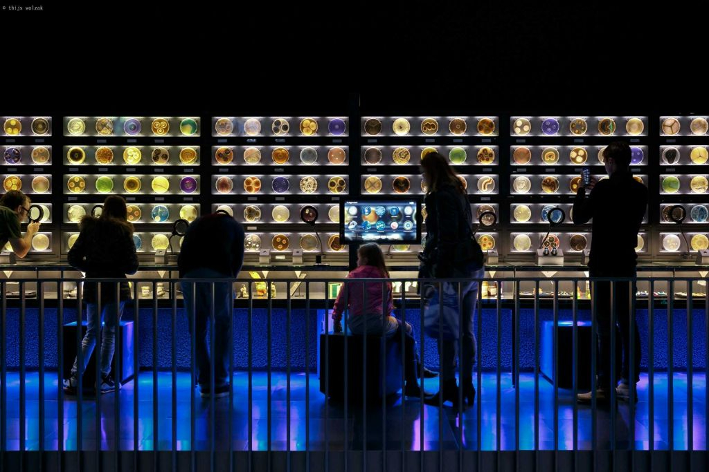ARTIS Amsterdam Royal Zoo & Micropia: Skip The Line Entry Ticket