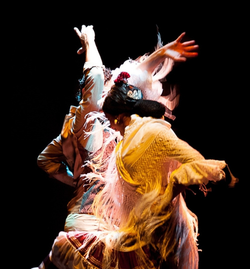 Museo del Baile Flamenco: Entrada + Puro Espectáculo Flamenco