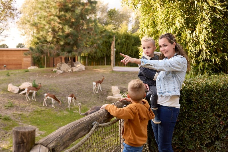 ZooParc Overloon: Billet d'entrée