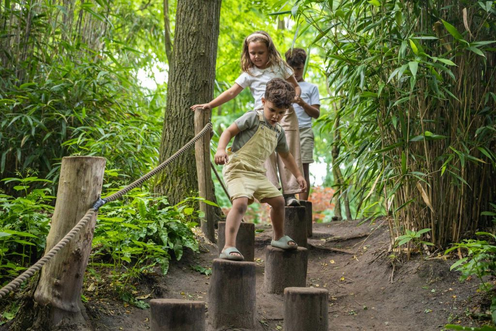ZooParc Overloon: Billet d'entrée