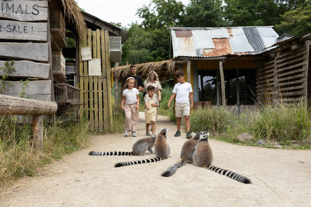 ZooParc Overloon: Billet d'entrée