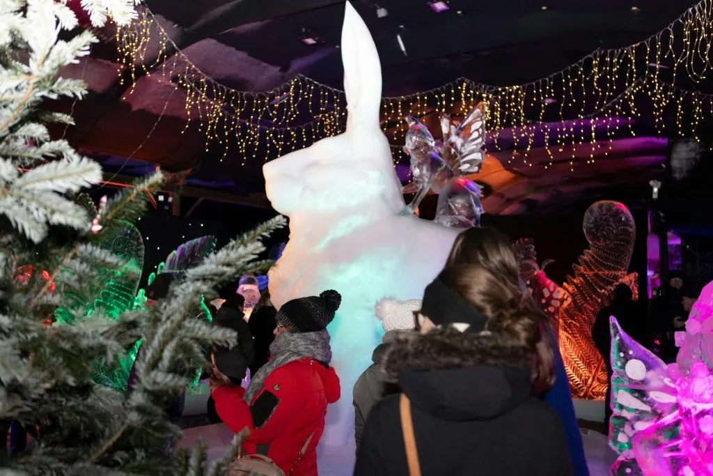 Festival néerlandais de sculptures sur glace : Billet d'entrée