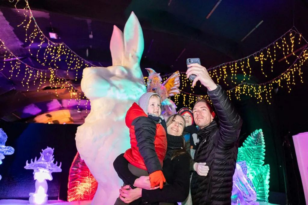 Festival néerlandais de sculptures sur glace : Billet d'entrée