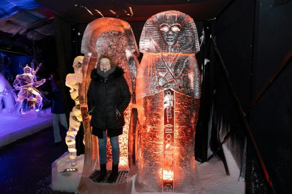 Festival néerlandais de sculptures sur glace : Billet d'entrée
