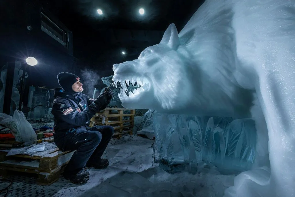 Festival néerlandais de sculptures sur glace : Billet d'entrée