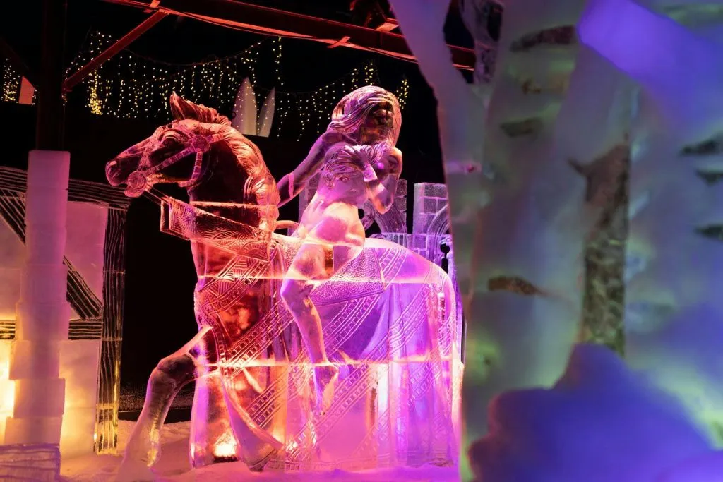 Festival néerlandais de sculptures sur glace : Billet d'entrée