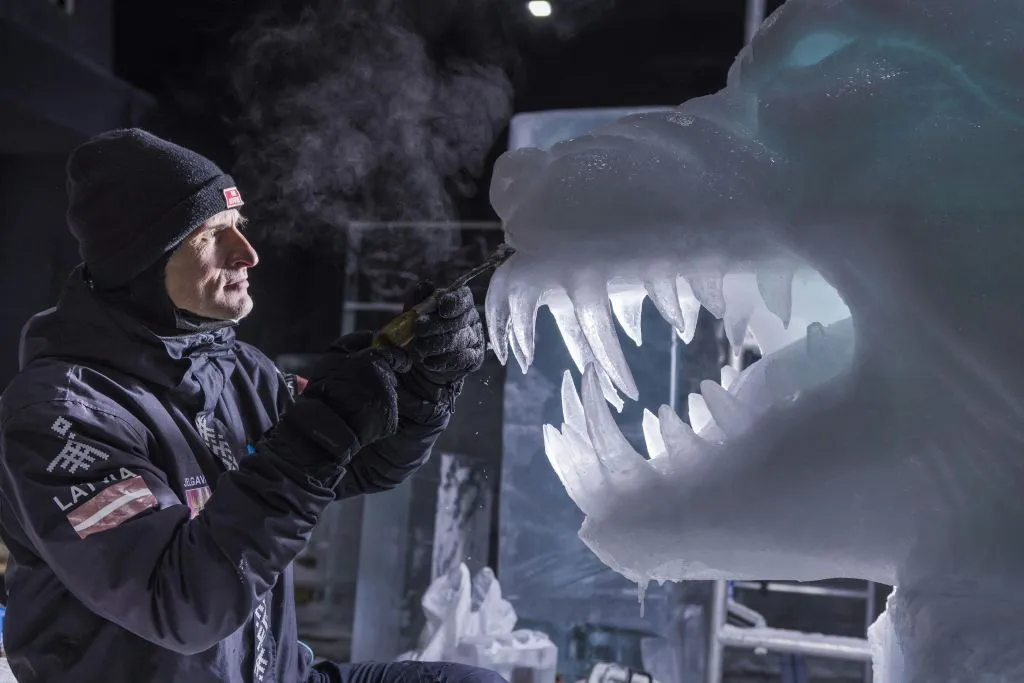 Festival néerlandais de sculptures sur glace : Billet d'entrée