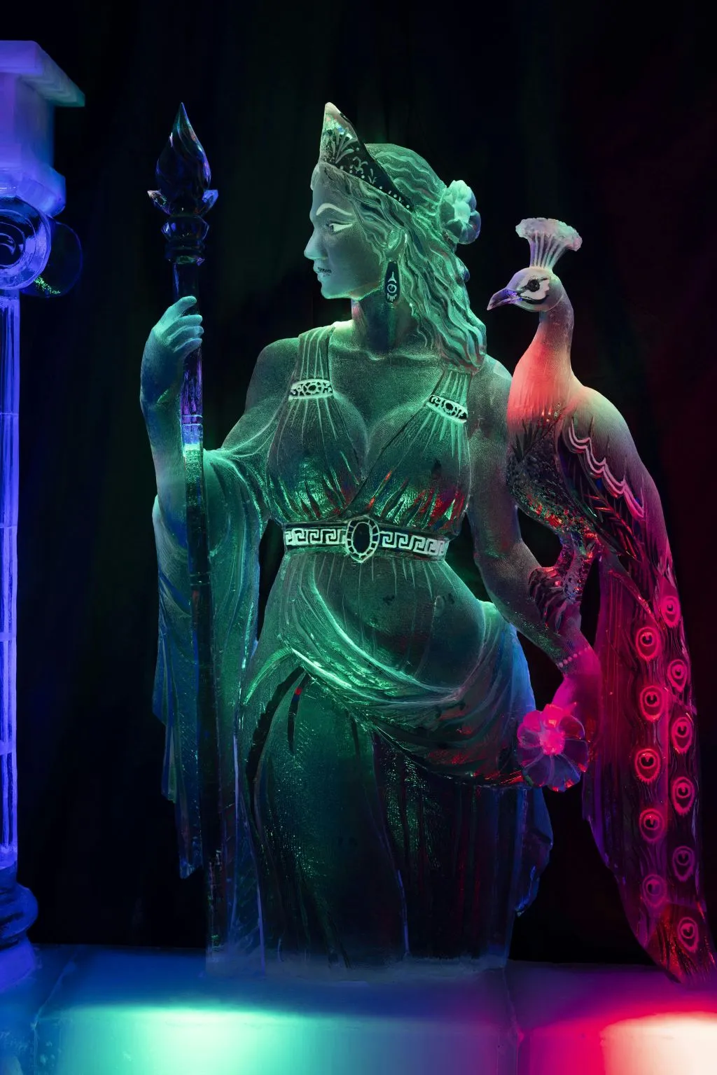 Festival néerlandais de sculptures sur glace : Billet d'entrée