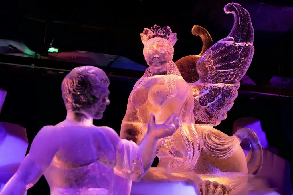 Festival néerlandais de sculptures sur glace : Billet d'entrée