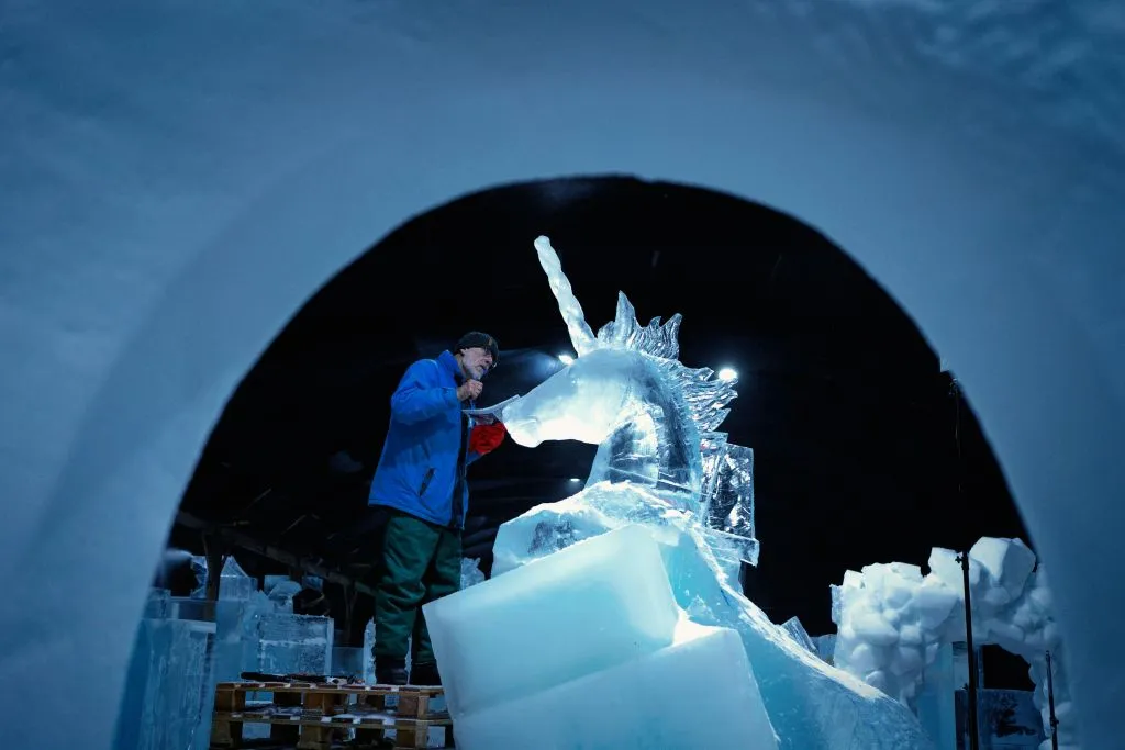 Festival néerlandais de sculptures sur glace : Billet d'entrée