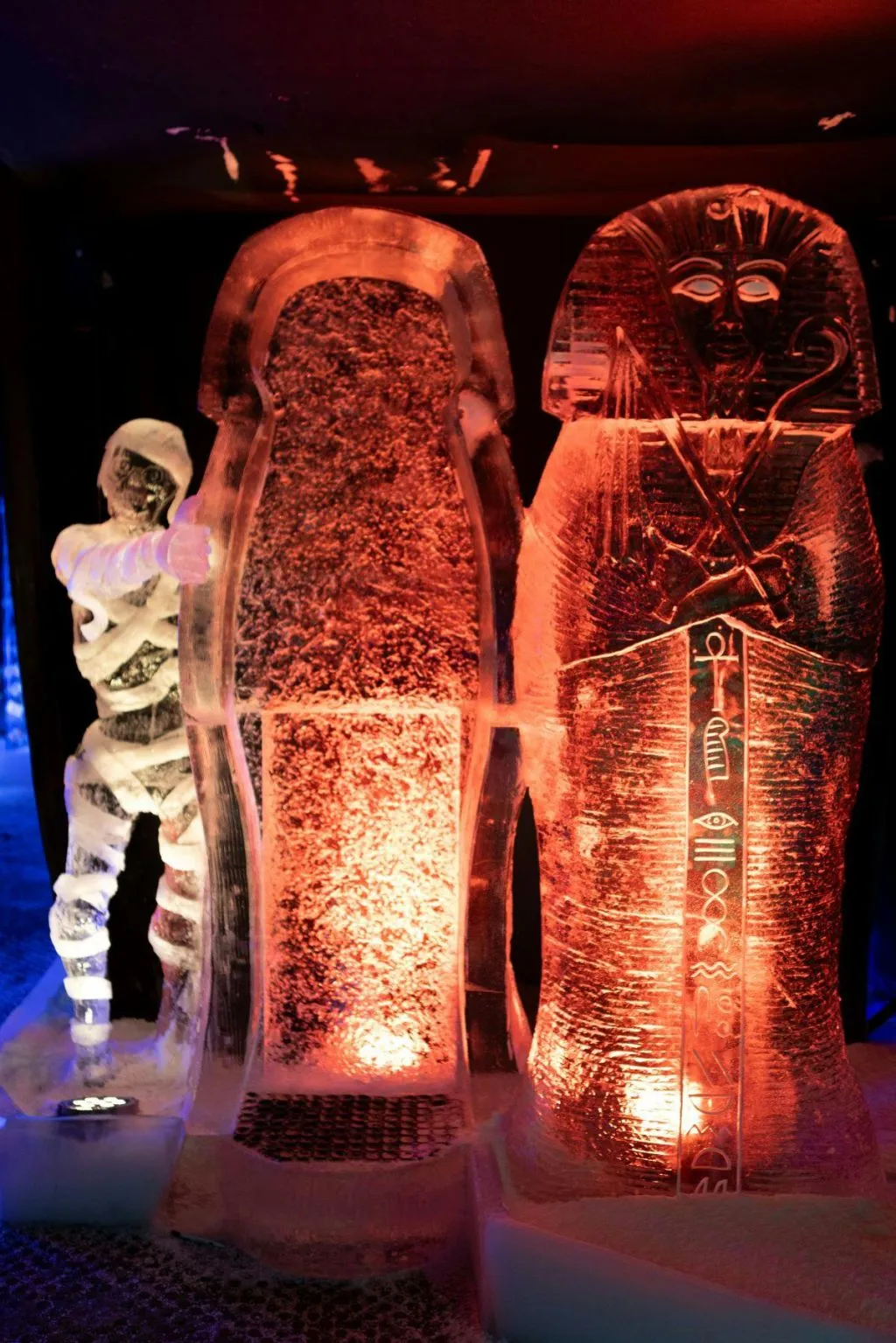 Festival néerlandais de sculptures sur glace : Billet d'entrée