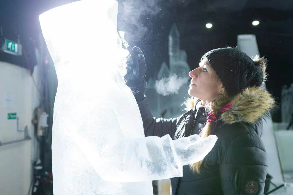 Festival néerlandais de sculptures sur glace : Billet d'entrée