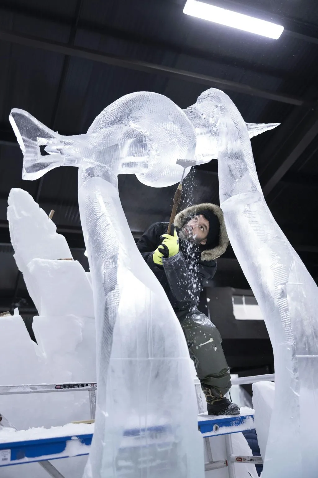 Festival néerlandais de sculptures sur glace : Billet d'entrée