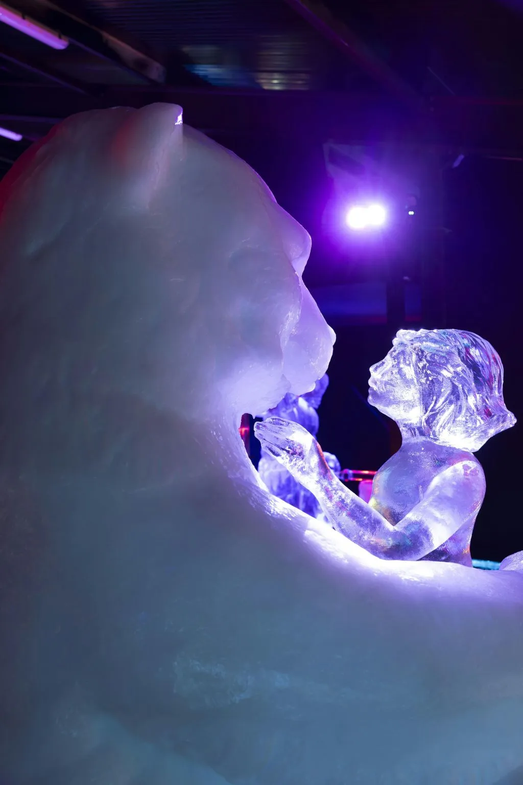 Festival néerlandais de sculptures sur glace : Billet d'entrée