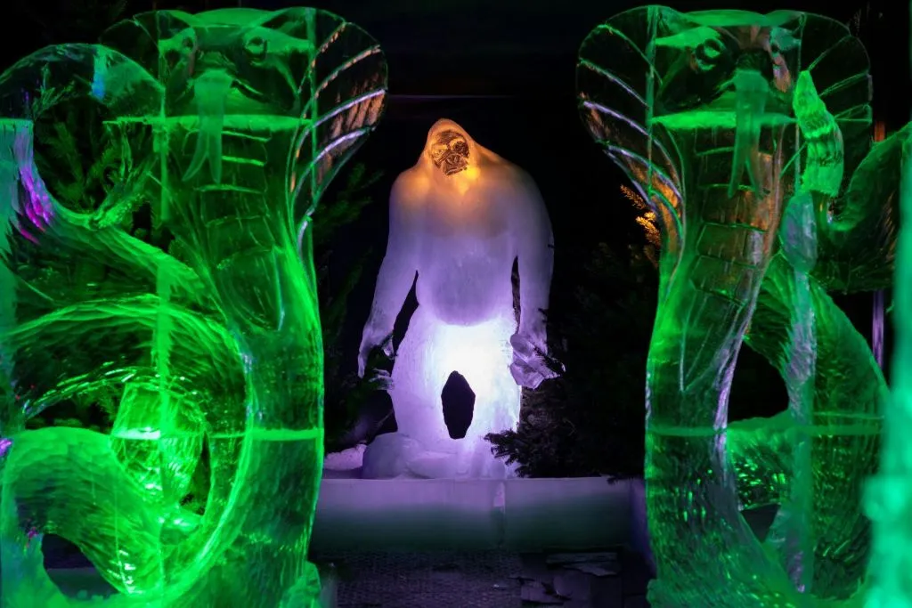 Festival néerlandais de sculptures sur glace : Billet d'entrée