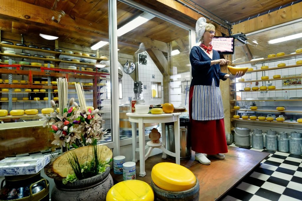 Keukenhof & Zaanse Schans: Entry Ticket