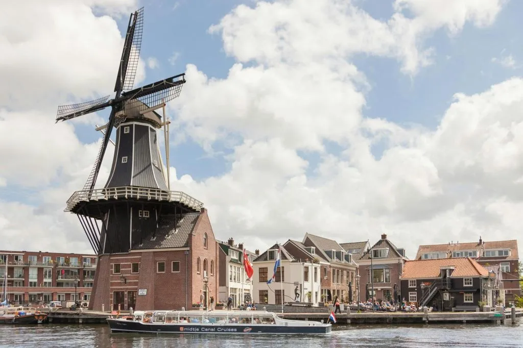 Haarlem: degustação de queijos e vinhos em um cruzeiro noturno