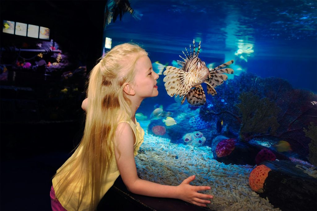 SEA LIFE Scheveningen : Billet d'entrée