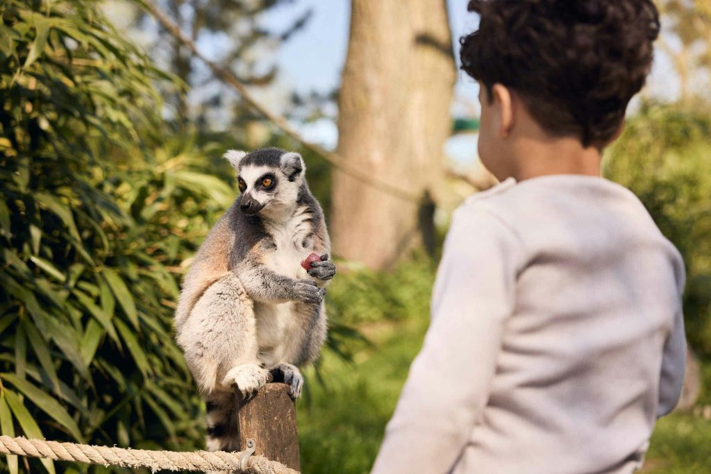 Zoo d'Eindhoven