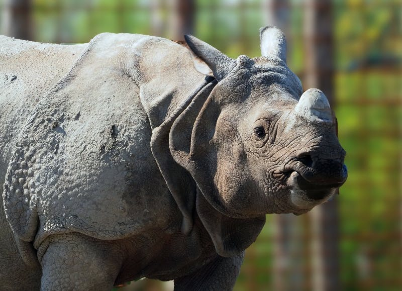 Zoo d'Eindhoven