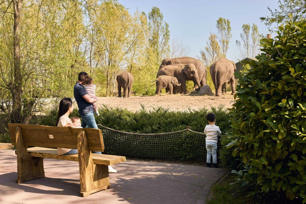 Zoo d'Eindhoven