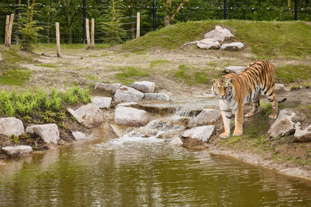 Zoo d'Eindhoven