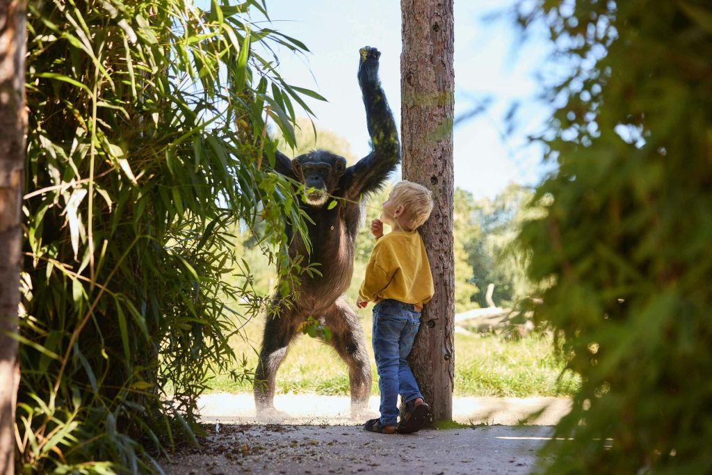 Zoo d'Eindhoven