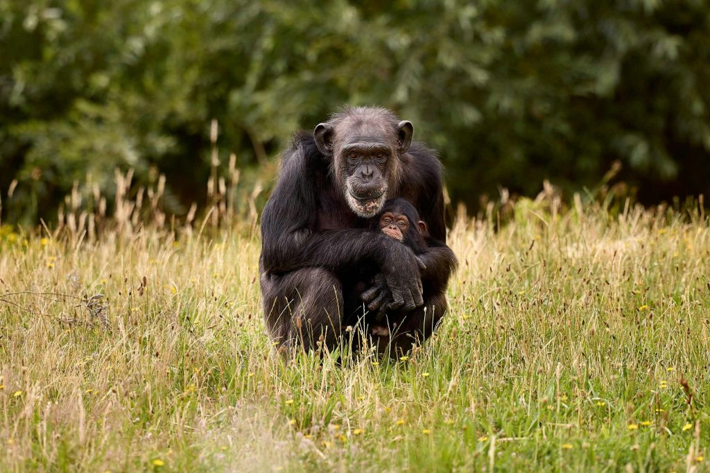 Zoo d'Eindhoven