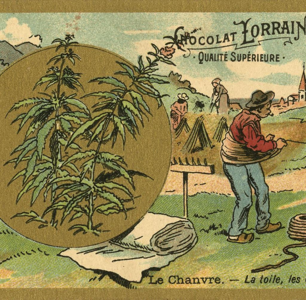 Hash Marihuana & Hemp Museum: bilhete de entrada + audioguia