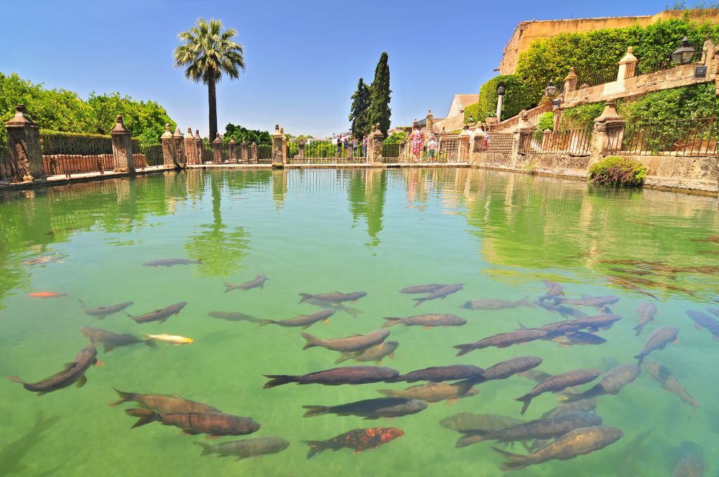 Alcazar of the Christian Monarchs: Guided Visit