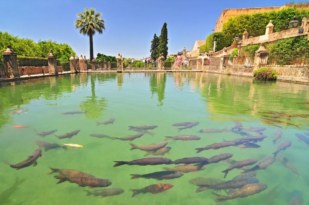 Alcazar of the Christian Monarchs: Guided Visit