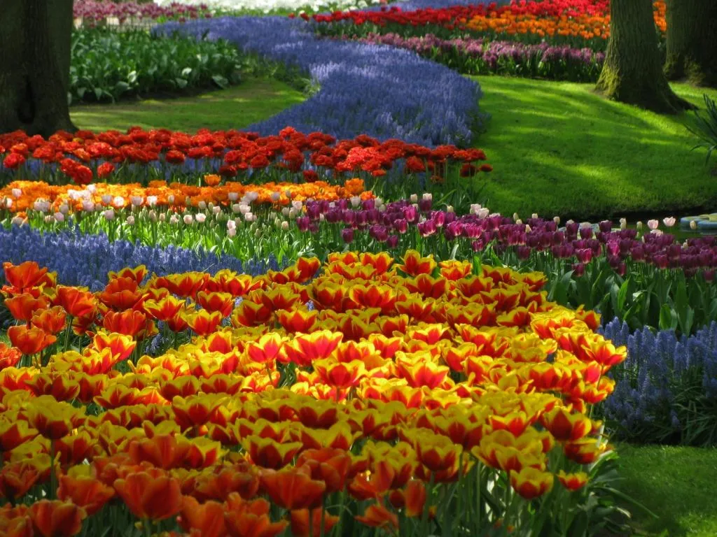 Printemps hollandais Combo: Keukenhof et Madurodam