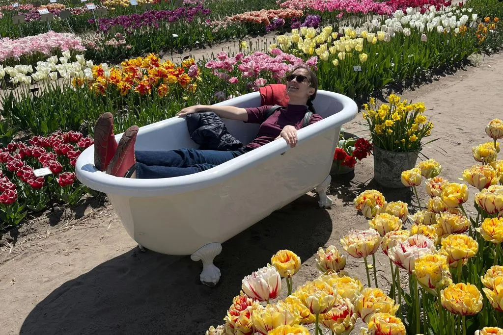 Amsterdam: Excursión guiada en bicicleta por los Tulipanes en grupo reducido