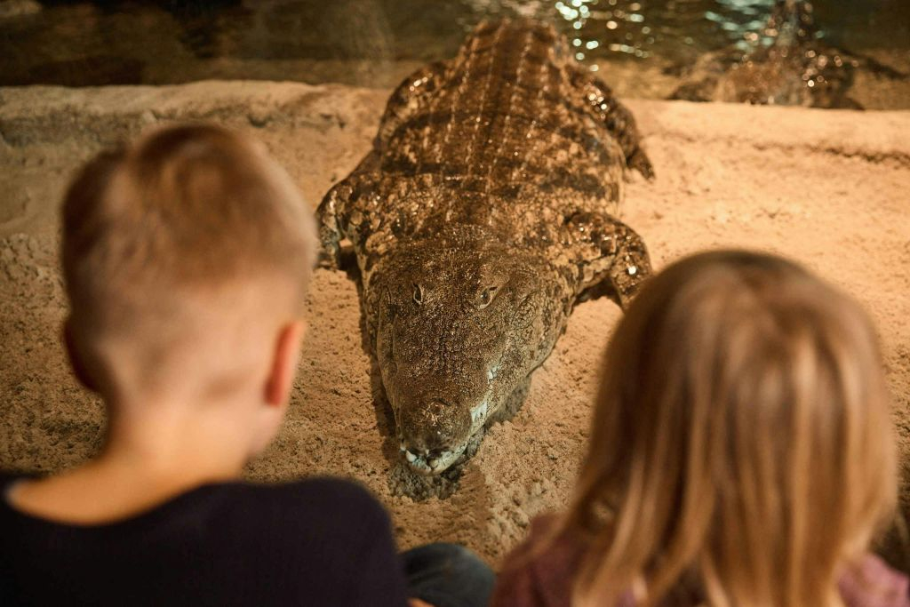 AquaZoo Leeuwarden: Billet d'entrée