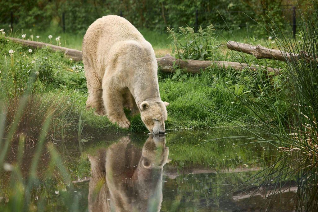 AquaZoo Leeuwarden: Billet d'entrée