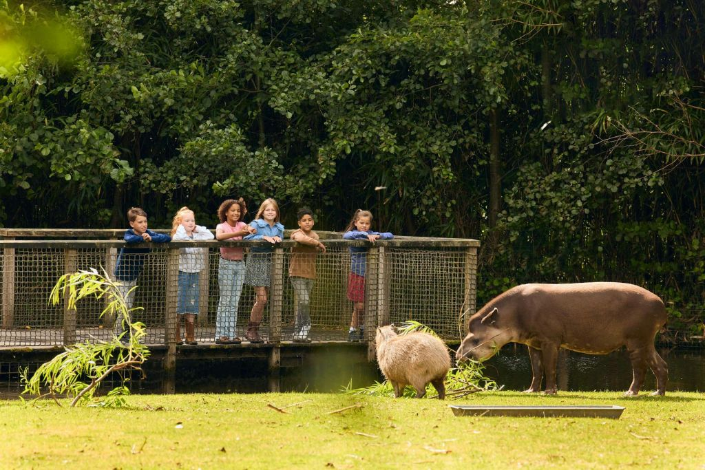 AquaZoo Leeuwarden: Billet d'entrée