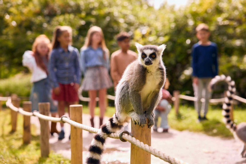 AquaZoo Leeuwarden: Billet d'entrée