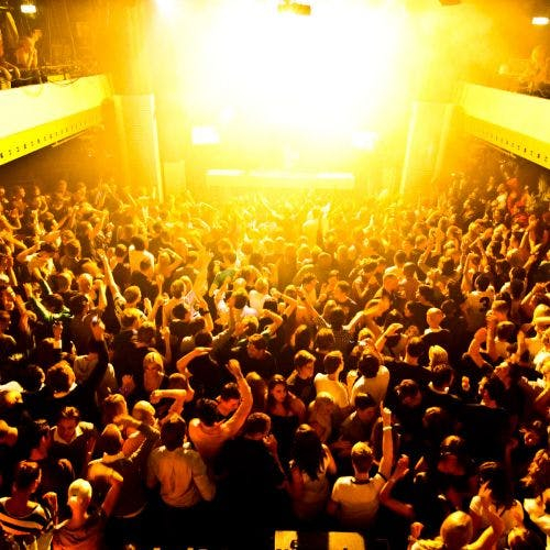 Amsterdam Nightlife & Clubs + Free Drinks