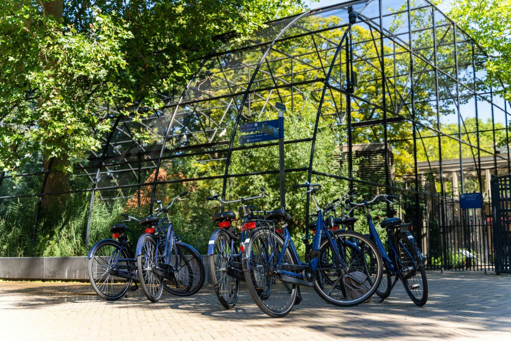 Amsterdam Bike Tour : Billet pour petit groupe