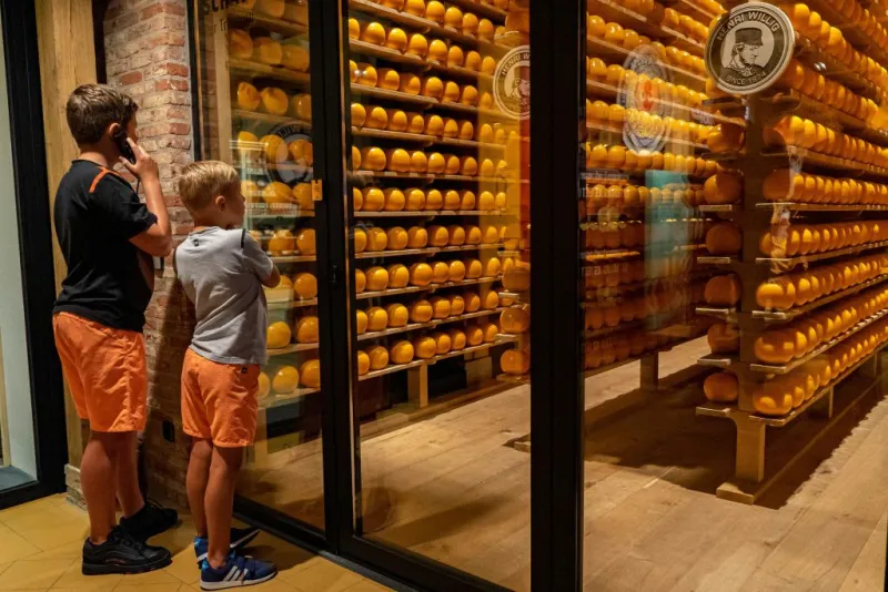 Edam Cheese Experience: La historia del queso Edam