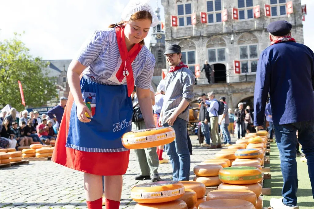 Edam, Gouda y Alkmaar: Excursión de un día a los Mercados del Queso desde Ámsterdam
