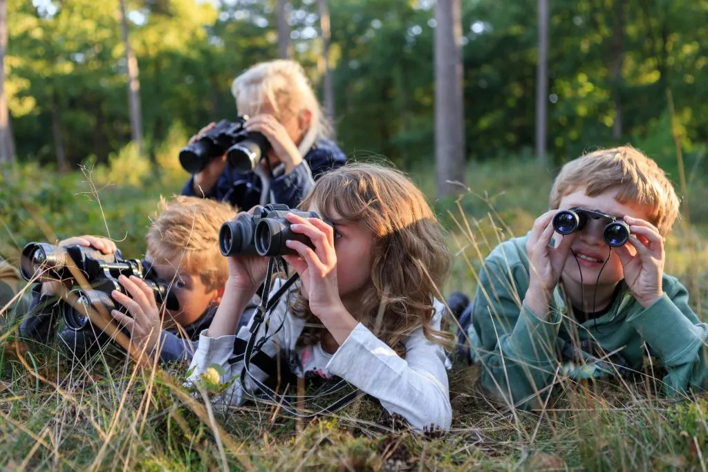 Museu Kröller Müller e Parque Nacional Hoge Veluwe: Viagem de um dia saindo de Amsterdã