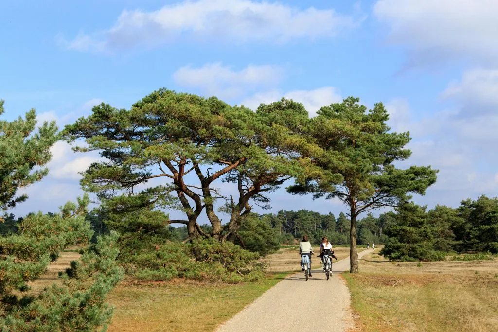 Museu Kröller Müller e Parque Nacional Hoge Veluwe: Viagem de um dia saindo de Amsterdã