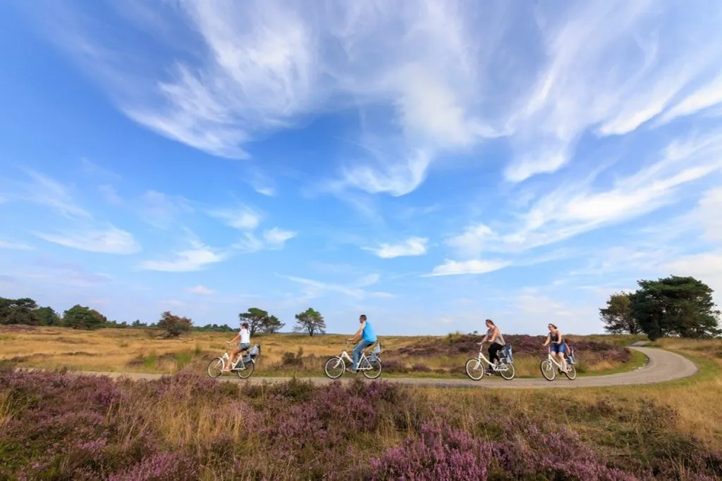 Museu Kröller Müller e Parque Nacional Hoge Veluwe: Viagem de um dia saindo de Amsterdã