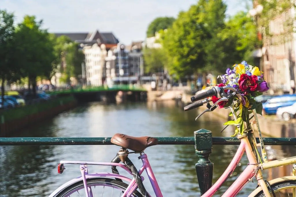 Ámsterdam: 2,5 horas en bicicleta por la campiña holandesa