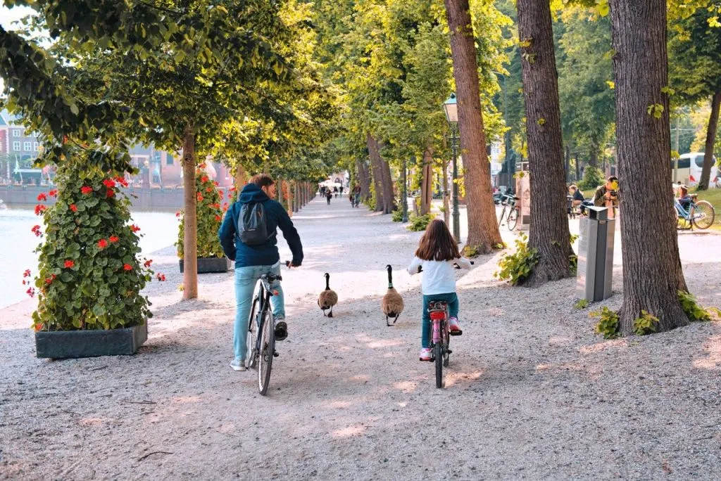 Tour in bici a L'Aia