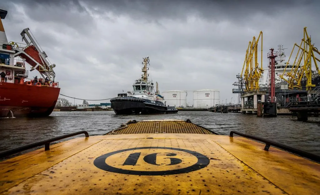 Amsterdam: Crociera al Porto di Amsterdam da NDSM