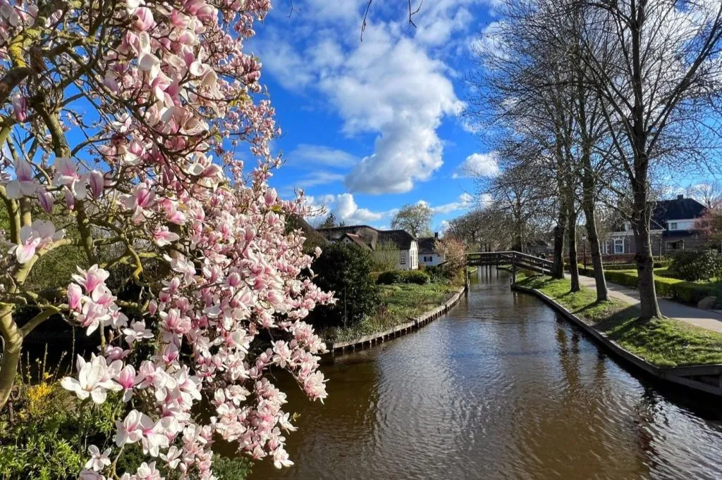 Zaanse Schans e Giethoorn: Excursão para grupos pequenos + traslado do hotel + cruzeiro de barco