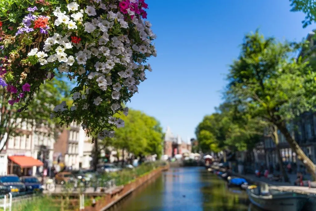 Ámsterdam: Visita guiada a pie y en bicicleta + Crucero de 1 hora por el Canal + Almuerzo