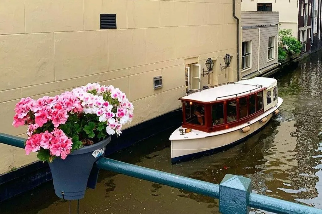 Amsterdam: tour privato di 1 ora e mezza in barca a vela